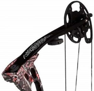 Darton DS-600 Compound Bow review