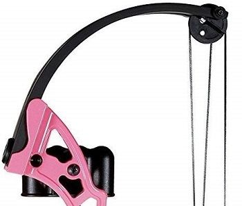 Pink Bear Brave Youth Compound Bow review