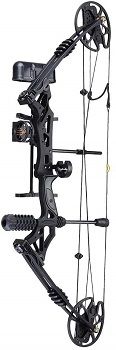 AW Pro Compound Bow