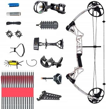 Best 5 Mini & Small Compound Bow You Can Buy In 2022 Reviews