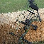 Best 5 Archery Compound Bows & Sets For Sale In 2020 Reviews