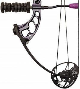 PSE Ready to Shoot Stinger X Stiletto Compound Bow review