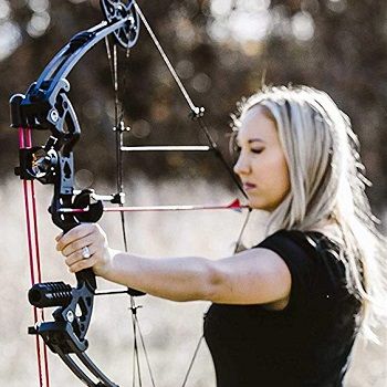target-compound-bow